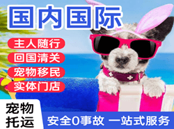 甘南夏河航空邮寄国际宠物托运 【国
